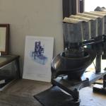 IMG_7763 (May 28, 2024)